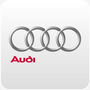 Audi button