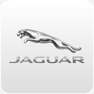 Jaguar button